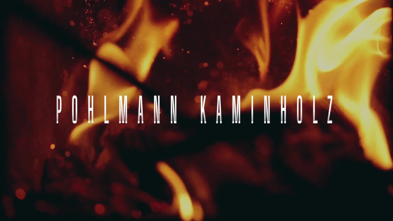 Pohlmann Kaminholz